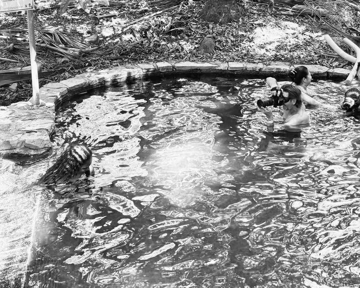 Barunga's Next Top Model 2025 by Dave Blake (look 053)