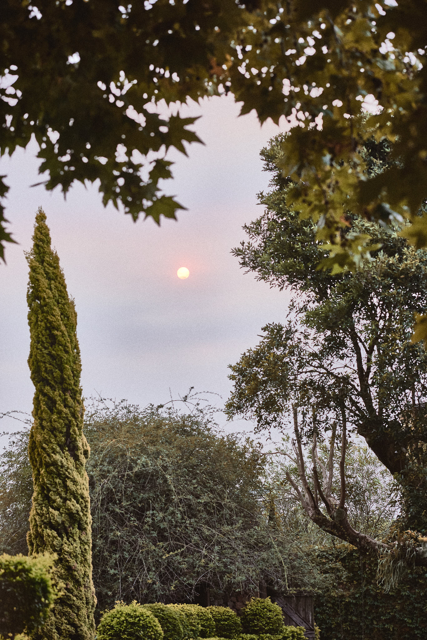 Enzo and Toto AW19 campaign by Dave Blake (look 06)