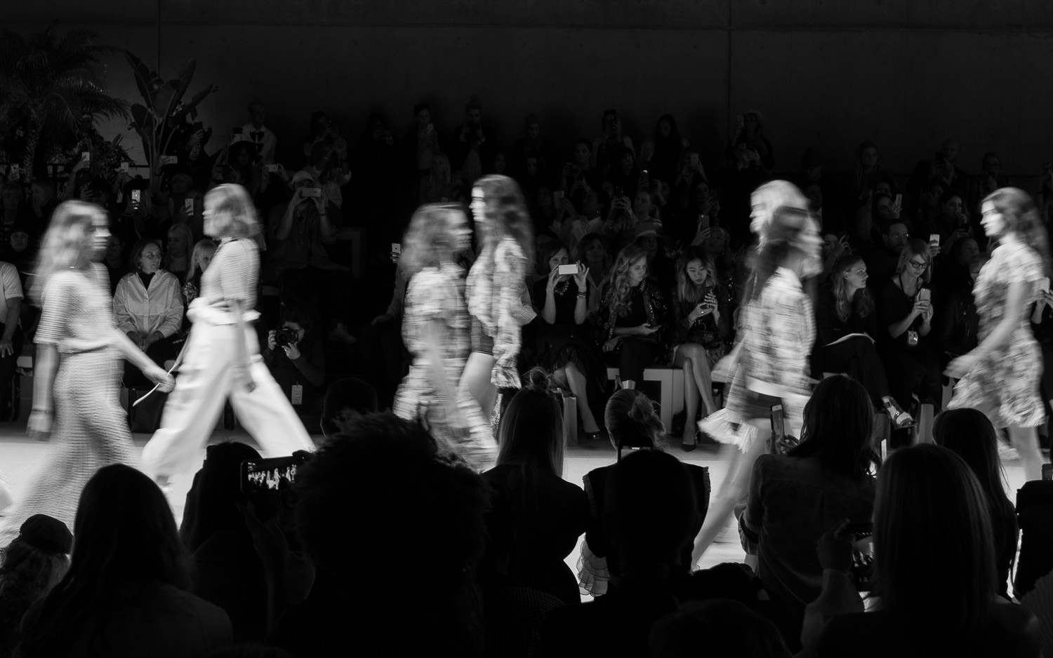 Hansen & Gretel, front row vibe.