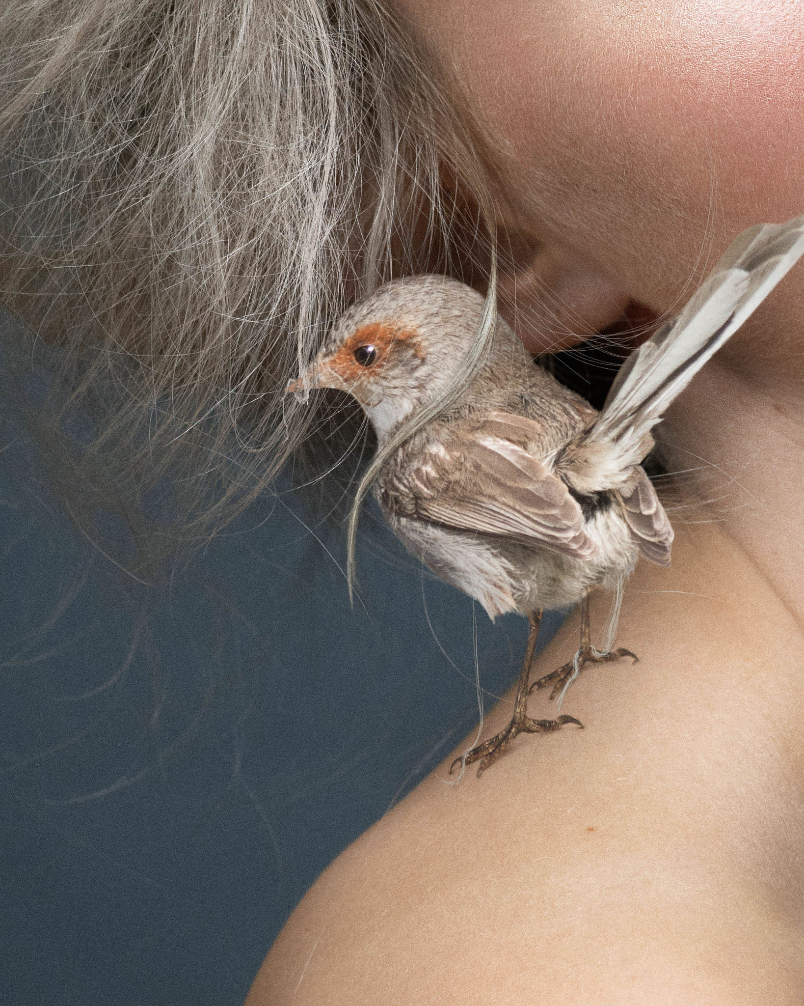 Itty Bitty Barbershop by Dave Blake (look 004)