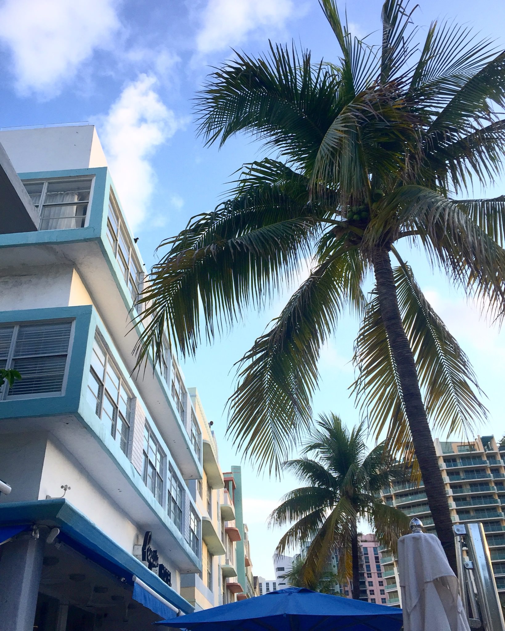 Miami Swim '17 - Wrap by Dave Blake (look 025)