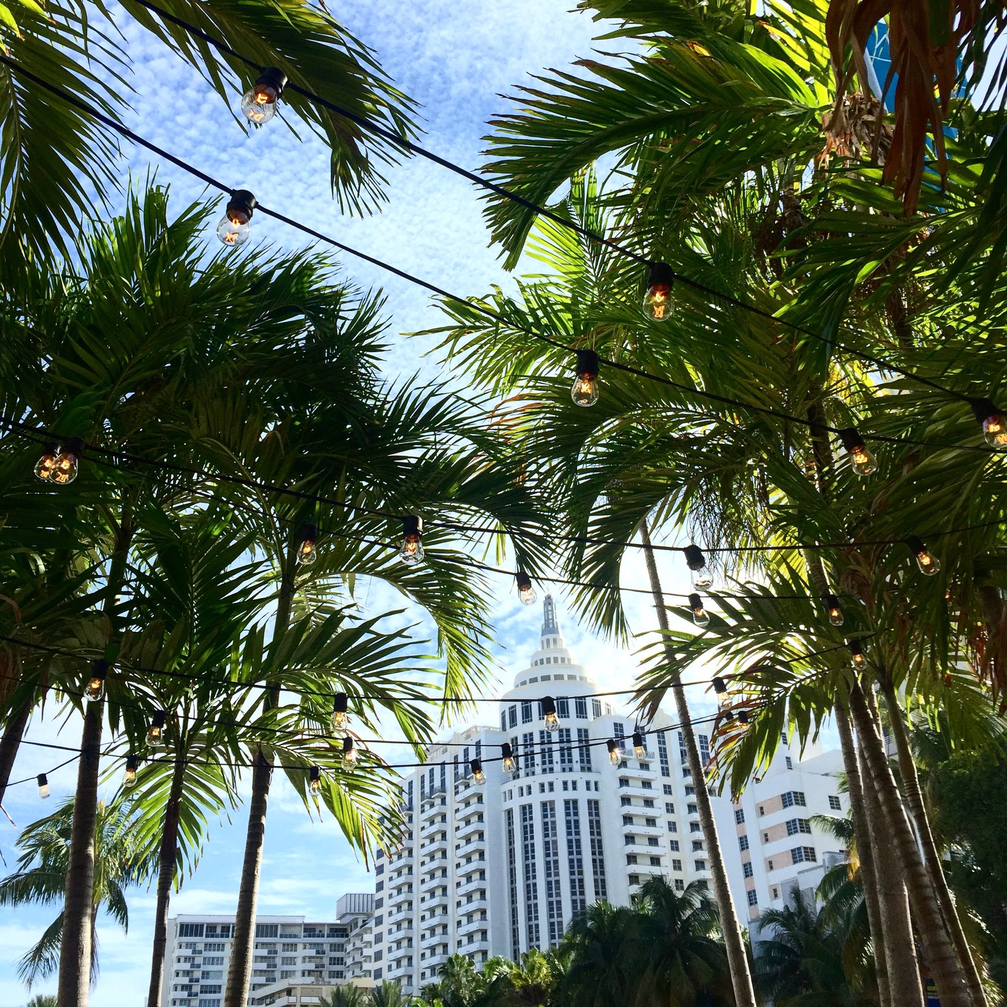 Miami Swim '17 - Wrap by Dave Blake (look 027)