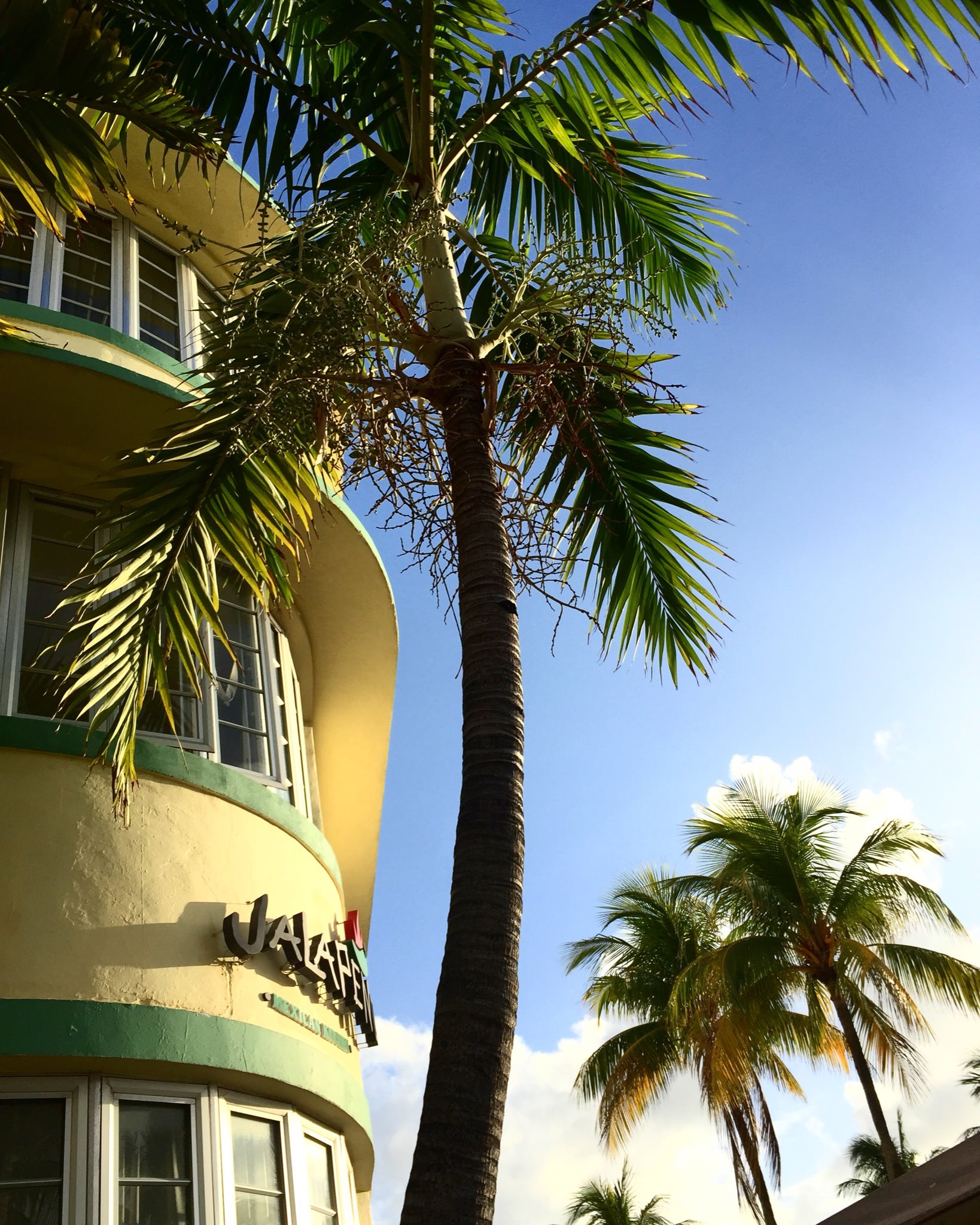 Miami Swim '17 - Wrap by Dave Blake (look 028)