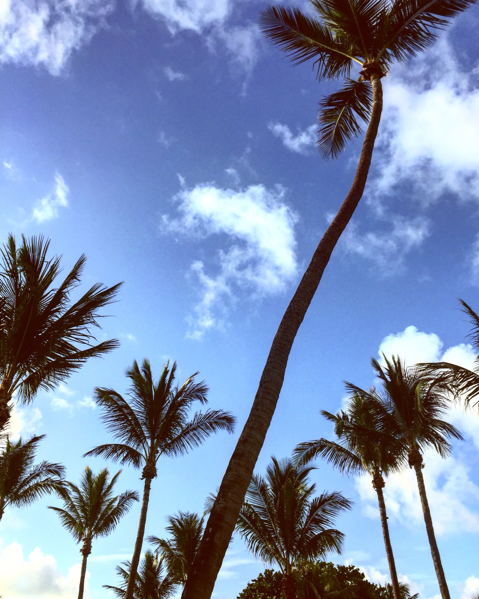 Miami Swim '17 - Wrap by Dave Blake (look 029)