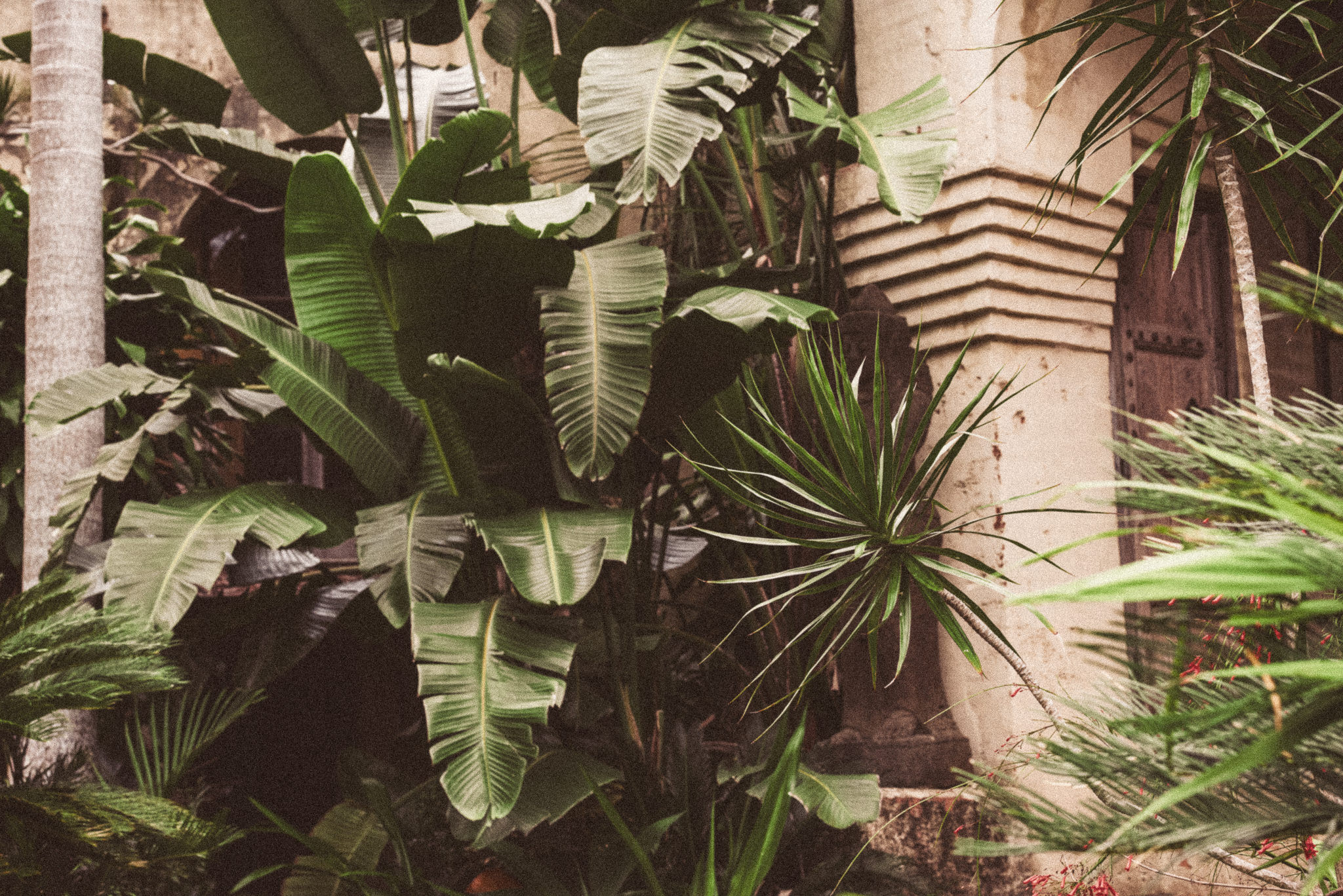 Ruby Yaya AW17 campaign by Dave Blake (look 12)