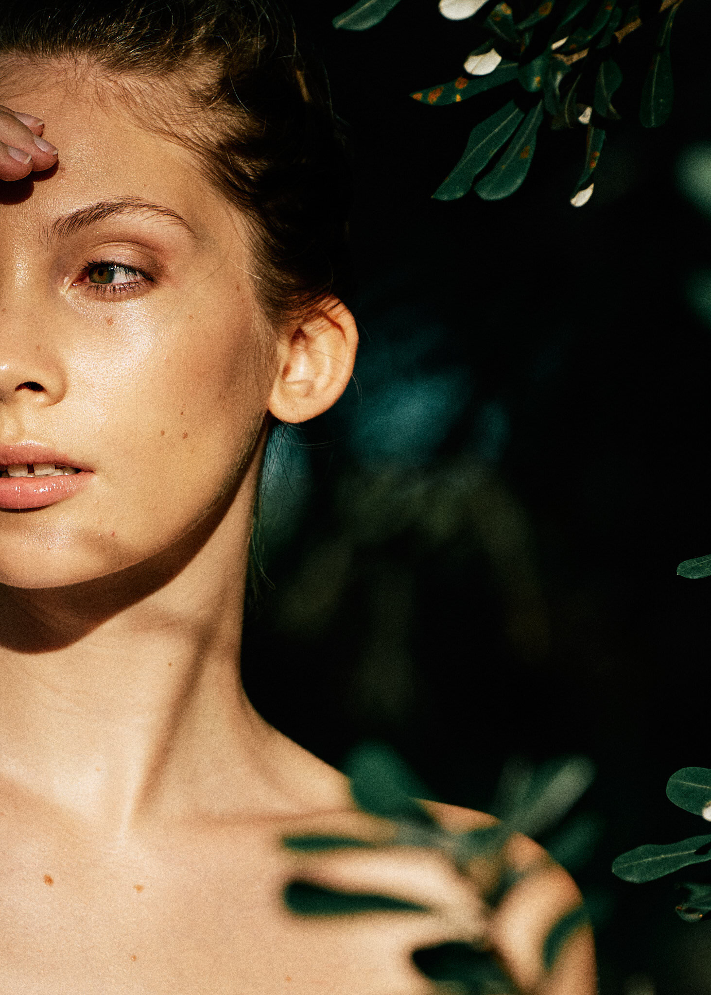 Run Rabbit Run by Dave Blake (look 004)